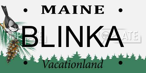 BLINKA Maine License Plate