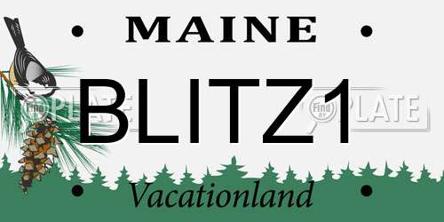 BLITZ1 Maine License Plate