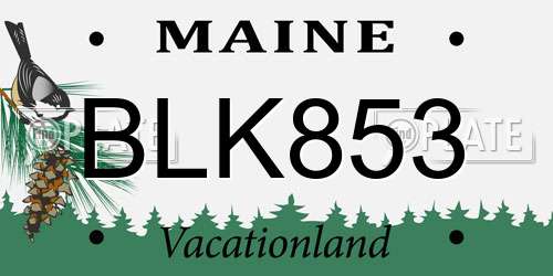 BLK853 Maine License Plate