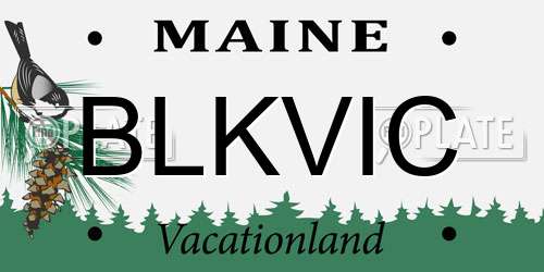 BLKVIC Maine License Plate