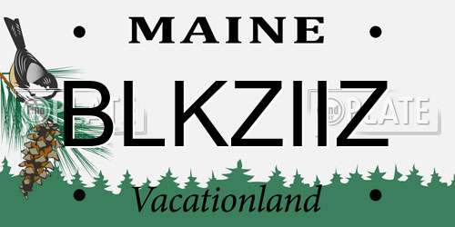 BLKZIIZ Maine License Plate