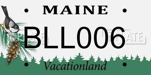 BLL006 Maine License Plate