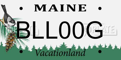 BLL00G Maine License Plate
