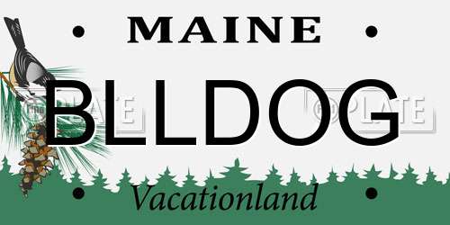 BLLDOG Maine License Plate