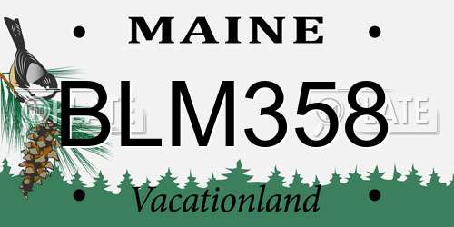 BLM358 Maine License Plate