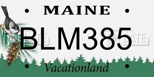 BLM385 Maine License Plate