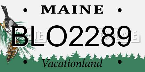 BLO2289 Maine License Plate