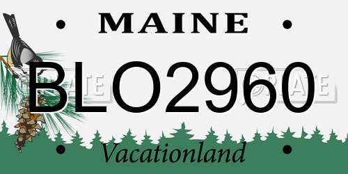 BLO2960 Maine License Plate