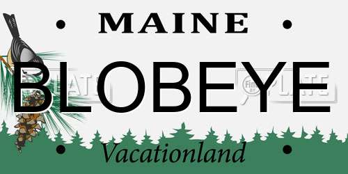 BLOBEYE Maine License Plate