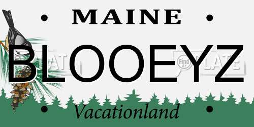 BLOOEYZ Maine License Plate