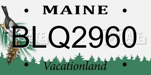 BLQ2960 Maine License Plate