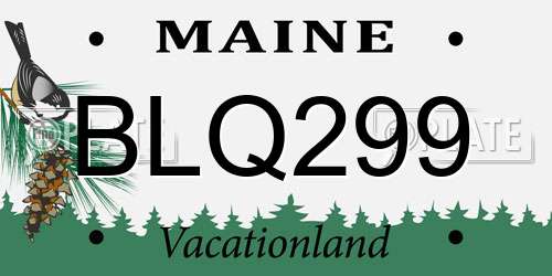 BLQ299 Maine License Plate