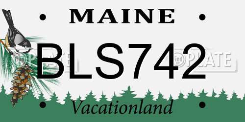 BLS742 Maine License Plate