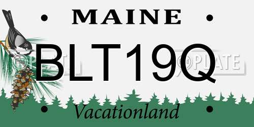 BLT19Q Maine License Plate