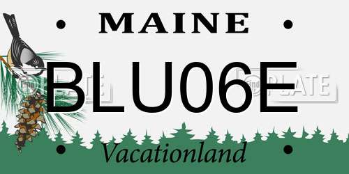 BLU06E Maine License Plate