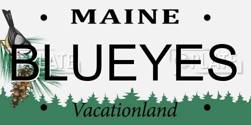 BLUEYES Maine License Plate