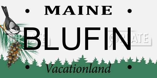 BLUFIN Maine License Plate