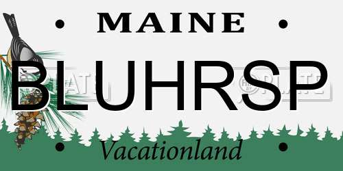 BLUHRSP Maine License Plate