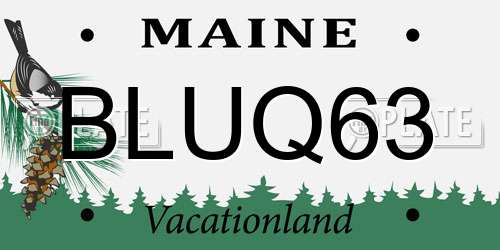 BLUQ63 Maine License Plate