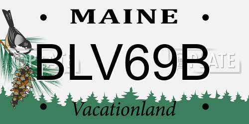 BLV69B Maine License Plate