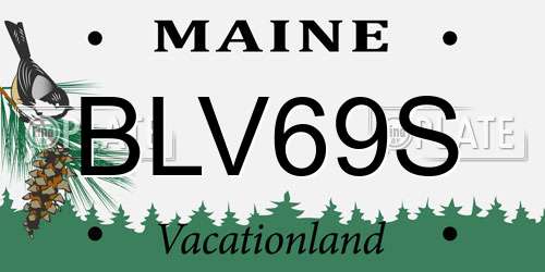 BLV69S Maine License Plate
