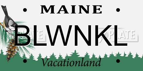 BLWNKL Maine License Plate