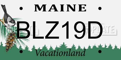 BLZ19D Maine License Plate