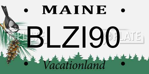 BLZI90 Maine License Plate
