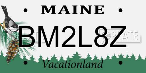 BM2L8Z Maine License Plate
