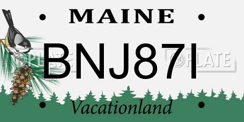 BNJ87I Maine License Plate