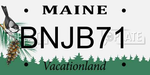 BNJB71 Maine License Plate