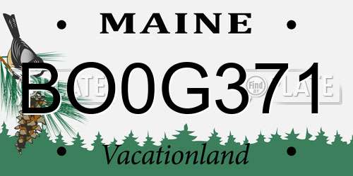 BO0G371 Maine License Plate
