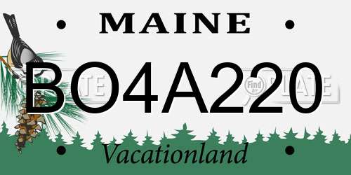 BO4A220 Maine License Plate