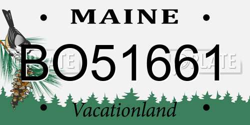 BO51661 Maine License Plate