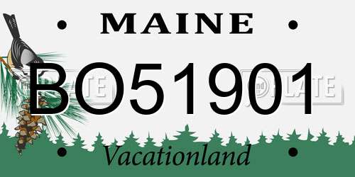 BO51901 Maine License Plate