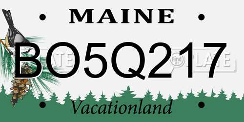 BO5Q217 Maine License Plate