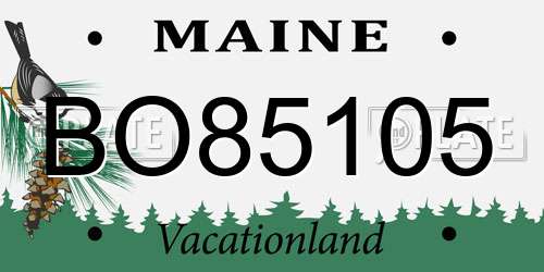 BO85105 Maine License Plate