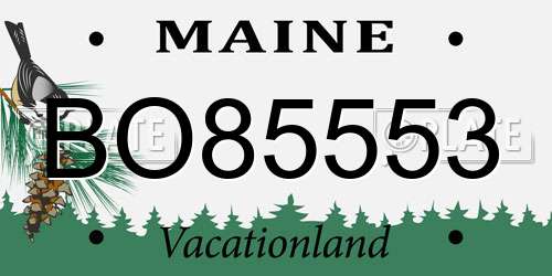 BO85553 Maine License Plate