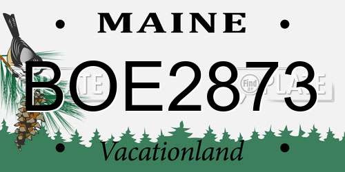 BOE2873 Maine License Plate