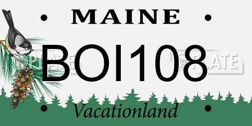 BOI108 Maine License Plate
