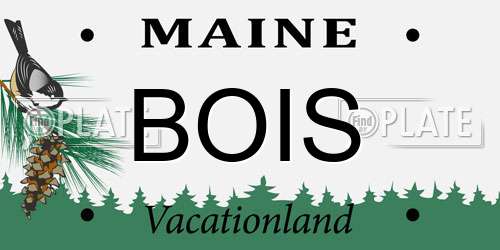 BOIS Maine License Plate