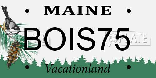 BOIS75 Maine License Plate
