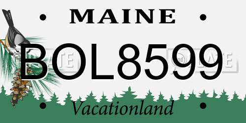BOL8599 Maine License Plate