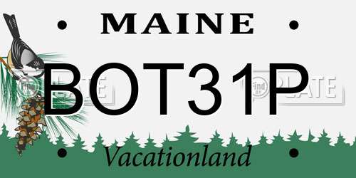 BOT31P Maine License Plate