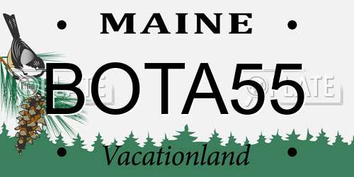 BOTA55 Maine License Plate