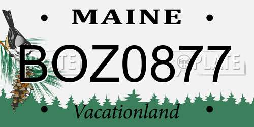 BOZ0877 Maine License Plate