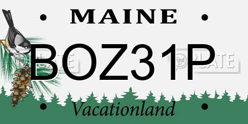 BOZ31P Maine License Plate