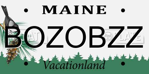 BOZOBZZ Maine License Plate