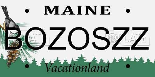 BOZOSZZ Maine License Plate