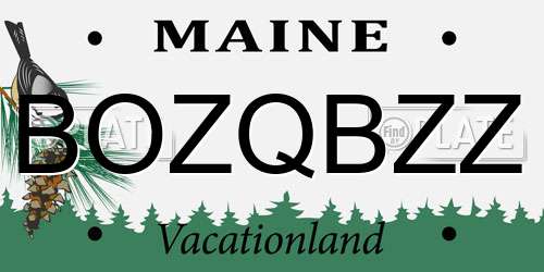 BOZQBZZ Maine License Plate